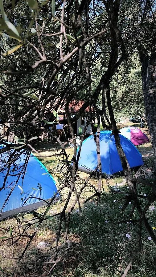 Campsite Eco Camping Albania Hotel Dhermi Albania