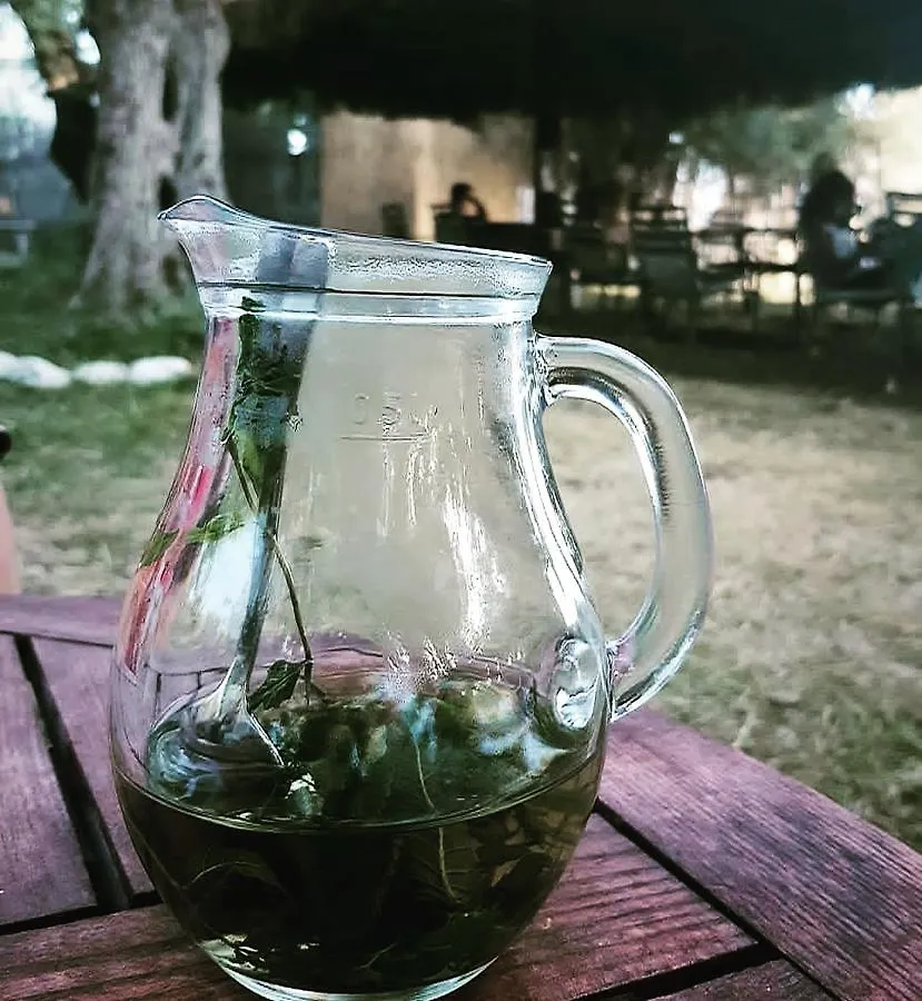 Eco Camping Albania Hotel Dhermi Albania
