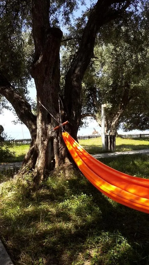 Eco Camping Albania Hotel Dhermi