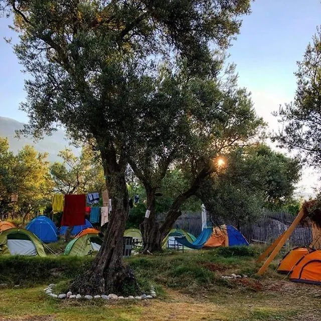 Campsite Eco Camping Albania Hotel Dhermi