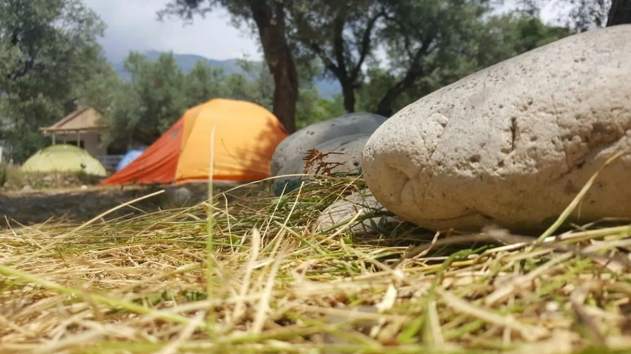 Eco Camping Albania Hotel Dhermi Campsite