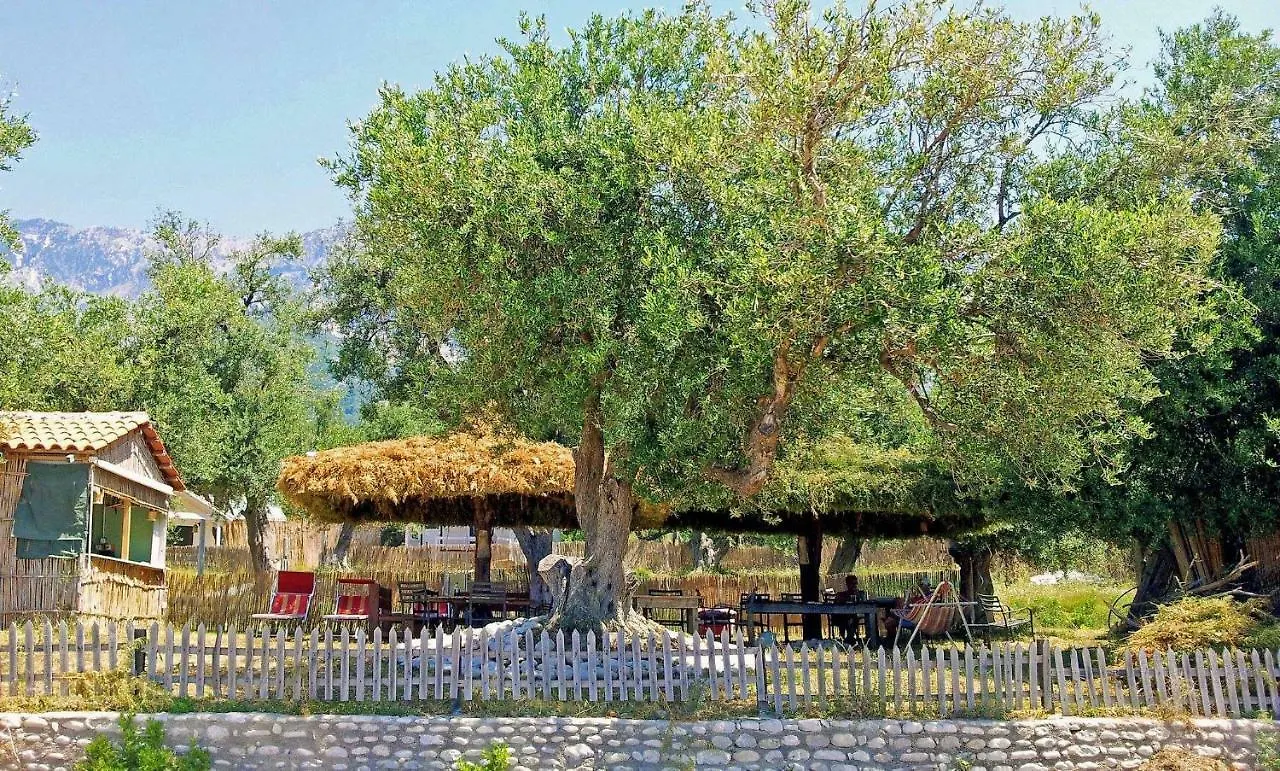 Eco Camping Albania location