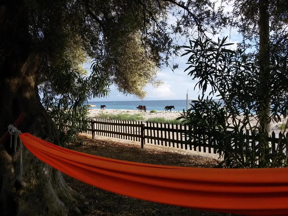 Eco Camping Albania Hotel Dhermi